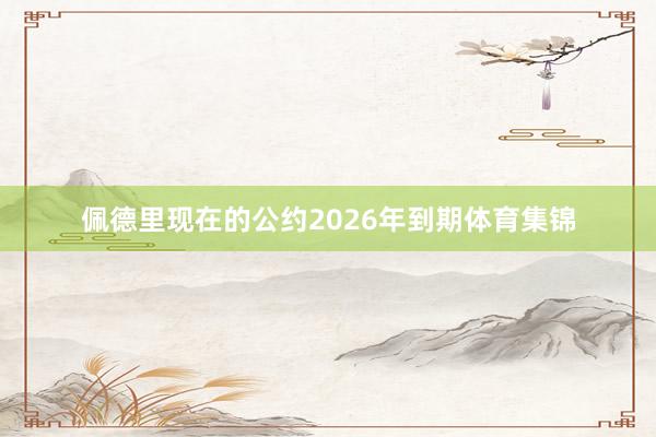 佩德里现在的公约2026年到期体育集锦