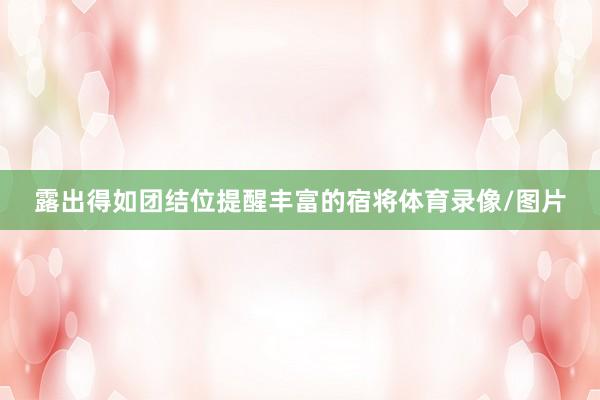 露出得如团结位提醒丰富的宿将体育录像/图片