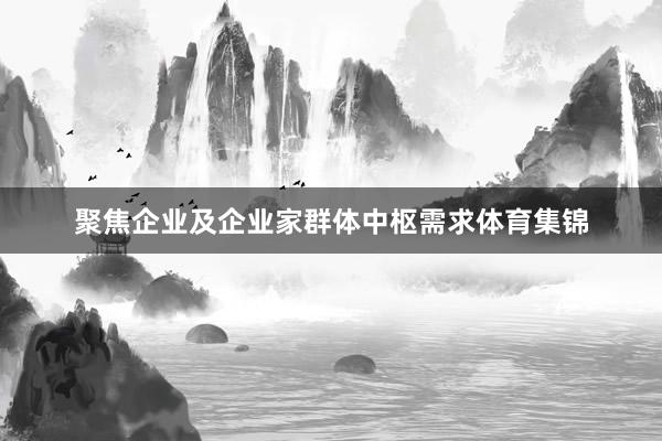 聚焦企业及企业家群体中枢需求体育集锦