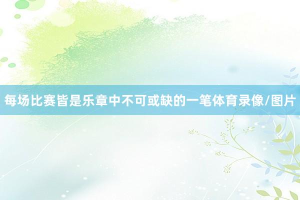 每场比赛皆是乐章中不可或缺的一笔体育录像/图片