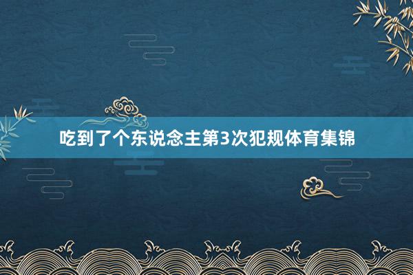 吃到了个东说念主第3次犯规体育集锦