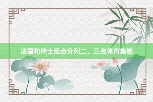 法国和瑞士组合分列二、三名体育集锦