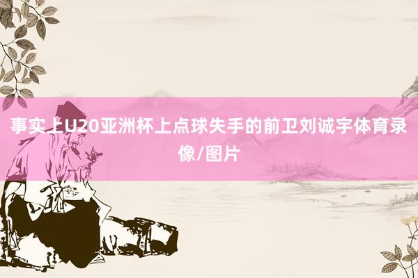 事实上U20亚洲杯上点球失手的前卫刘诚宇体育录像/图片