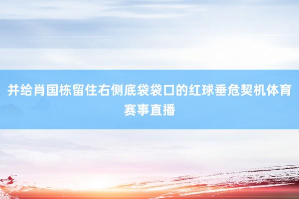 并给肖国栋留住右侧底袋袋口的红球垂危契机体育赛事直播