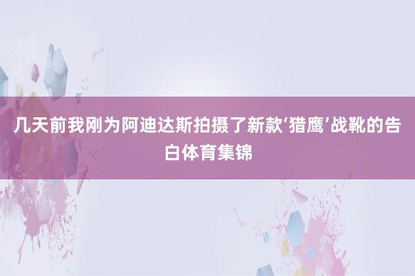 几天前我刚为阿迪达斯拍摄了新款‘猎鹰’战靴的告白体育集锦
