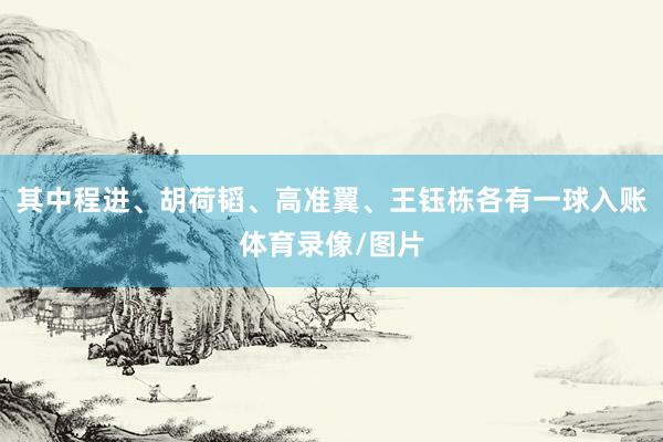 其中程进、胡荷韬、高准翼、王钰栋各有一球入账体育录像/图片