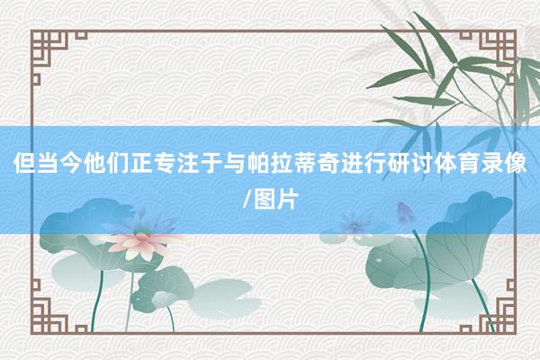 但当今他们正专注于与帕拉蒂奇进行研讨体育录像/图片