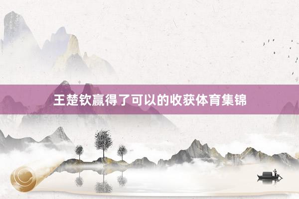 王楚钦赢得了可以的收获体育集锦