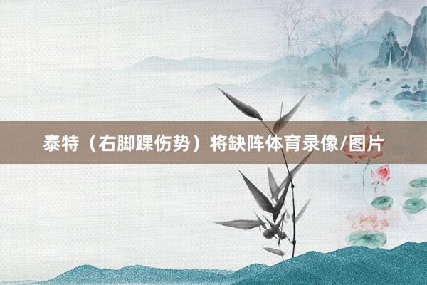 泰特（右脚踝伤势）将缺阵体育录像/图片