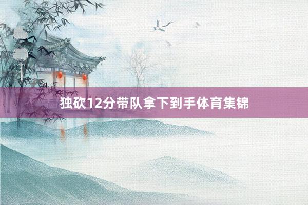 独砍12分带队拿下到手体育集锦