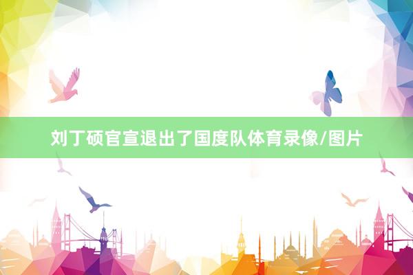 刘丁硕官宣退出了国度队体育录像/图片