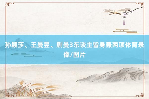 孙颖莎、王曼昱、蒯曼3东谈主皆身兼两项体育录像/图片