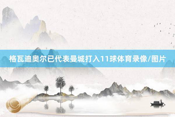 格瓦迪奥尔已代表曼城打入11球体育录像/图片