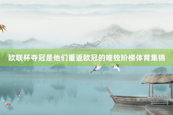 欧联杯夺冠是他们重返欧冠的唯独阶梯体育集锦