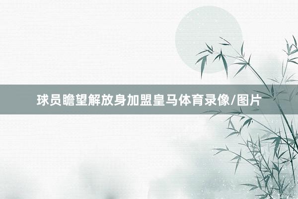 球员瞻望解放身加盟皇马体育录像/图片