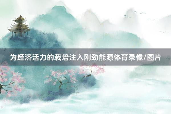 为经济活力的栽培注入刚劲能源体育录像/图片