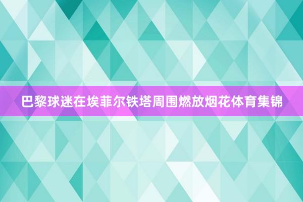 巴黎球迷在埃菲尔铁塔周围燃放烟花体育集锦