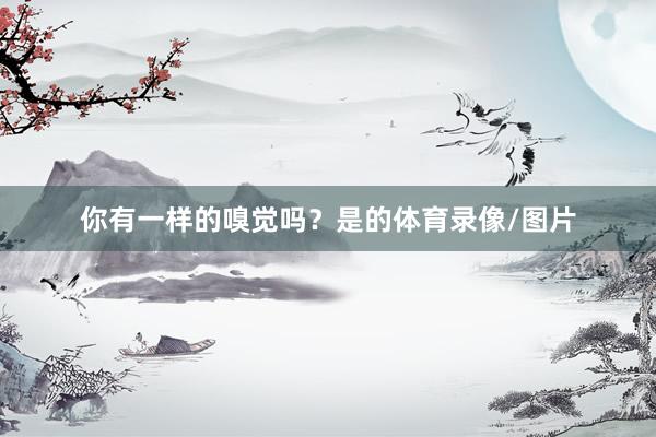 你有一样的嗅觉吗？是的体育录像/图片