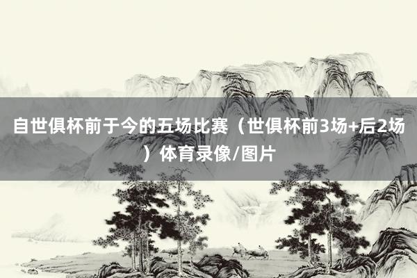自世俱杯前于今的五场比赛（世俱杯前3场+后2场）体育录像/图片