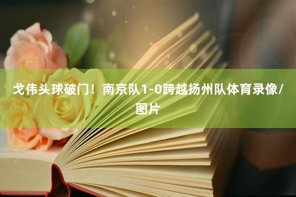 戈伟头球破门！南京队1-0跨越扬州队体育录像/图片