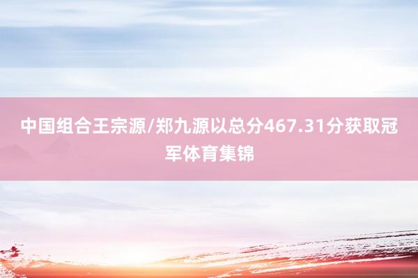 中国组合王宗源/郑九源以总分467.31分获取冠军体育集锦