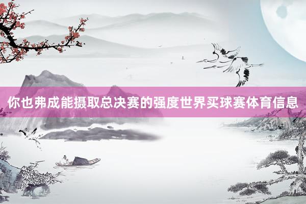 你也弗成能摄取总决赛的强度世界买球赛体育信息