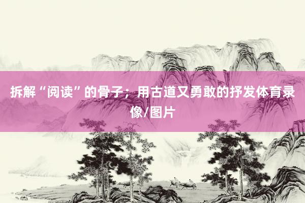 拆解“阅读”的骨子；用古道又勇敢的抒发体育录像/图片