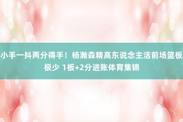 小手一抖两分得手！杨瀚森精高东说念主活前场篮板极少 1板+2分进账体育集锦