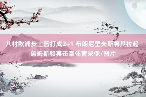 八村欧洲步上篮打成2+1 布朗尼里夫斯将其拉起 詹姆斯和其击掌体育录像/图片