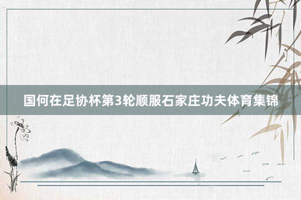 国何在足协杯第3轮顺服石家庄功夫体育集锦