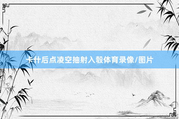 卡什后点凌空抽射入彀体育录像/图片