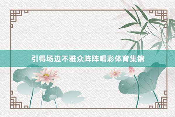 引得场边不雅众阵阵喝彩体育集锦