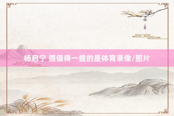 杨启宁 摄值得一提的是体育录像/图片