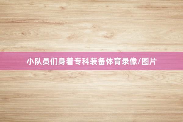 小队员们身着专科装备体育录像/图片