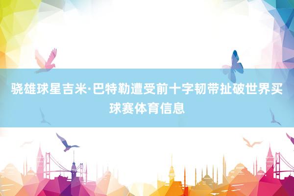 骁雄球星吉米·巴特勒遭受前十字韧带扯破世界买球赛体育信息