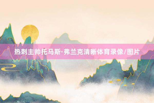热刺主帅托马斯·弗兰克清晰体育录像/图片