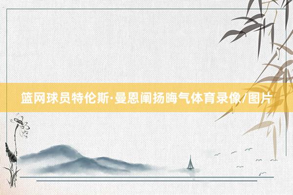 篮网球员特伦斯·曼恩阐扬晦气体育录像/图片