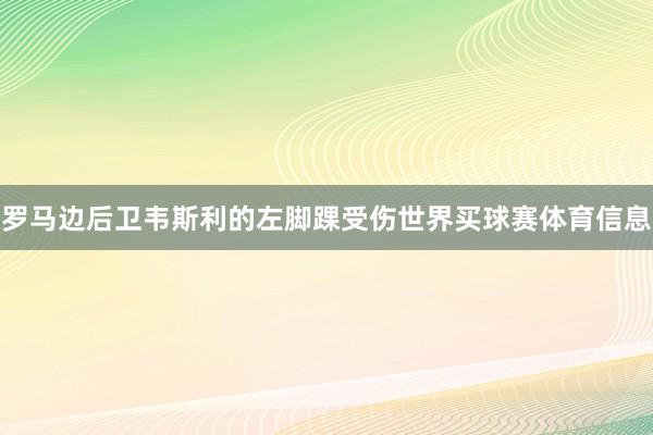 罗马边后卫韦斯利的左脚踝受伤世界买球赛体育信息