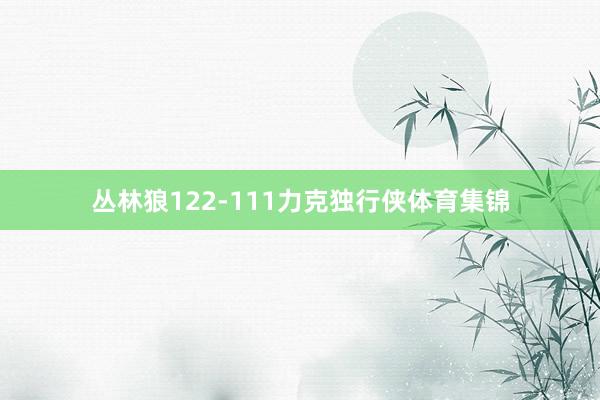 丛林狼122-111力克独行侠体育集锦