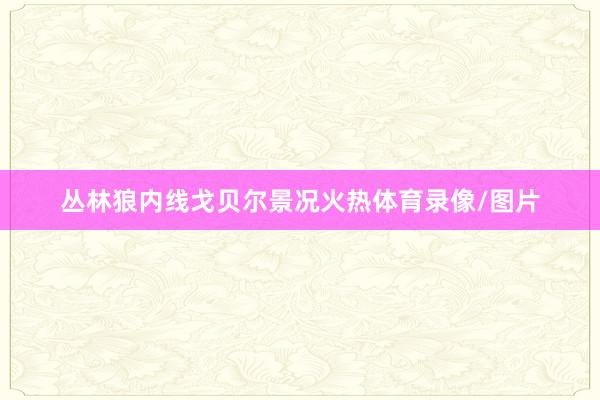 丛林狼内线戈贝尔景况火热体育录像/图片