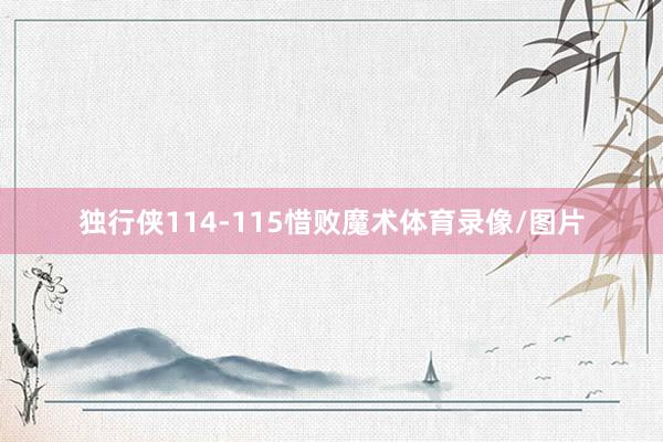 独行侠114-115惜败魔术体育录像/图片