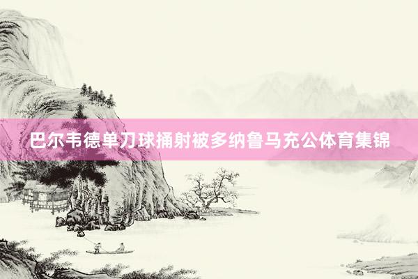 巴尔韦德单刀球捅射被多纳鲁马充公体育集锦