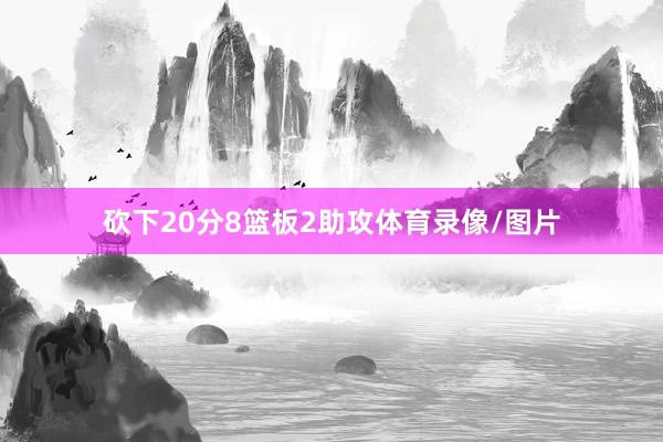 砍下20分8篮板2助攻体育录像/图片